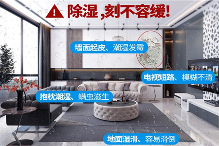 家里潮濕怎么辦？