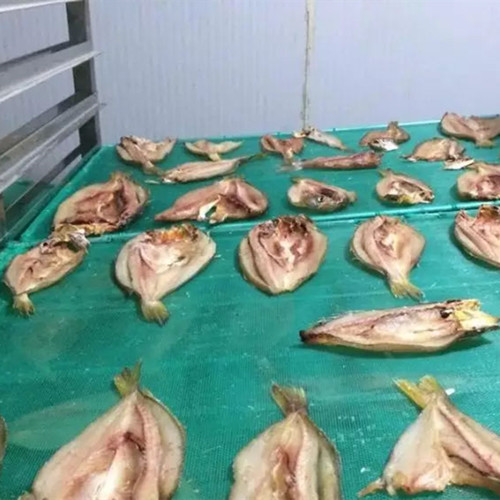 海產(chǎn)品烘干機(jī)
