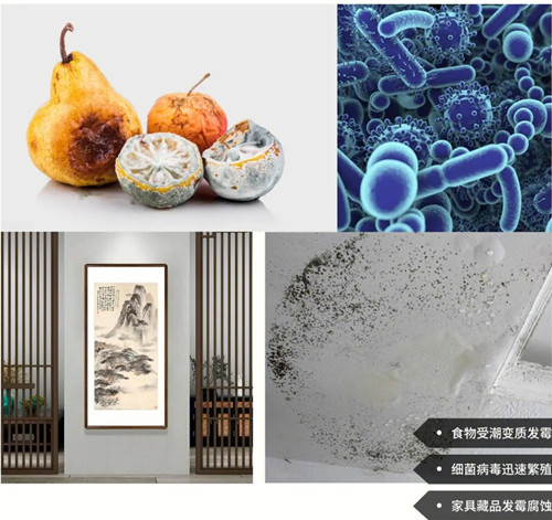 商用除濕機(jī) 商用除濕機(jī)