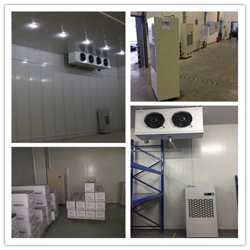 雪糕廠耐低溫除濕機(jī)