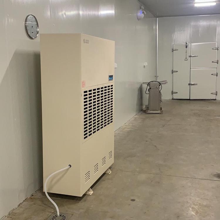 低溫工業(yè)除濕機