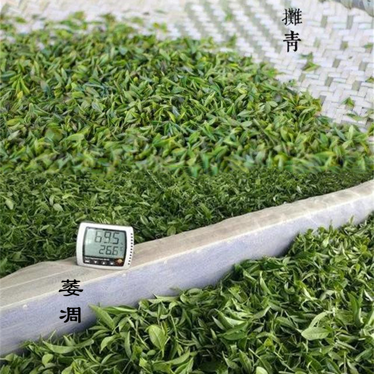 茶葉如何快速除濕？