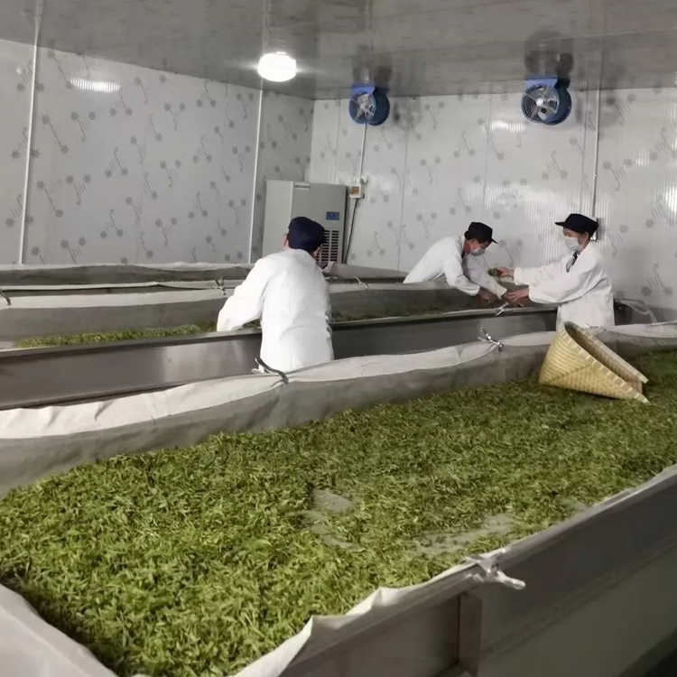 茶葉萎凋室除濕機(jī)