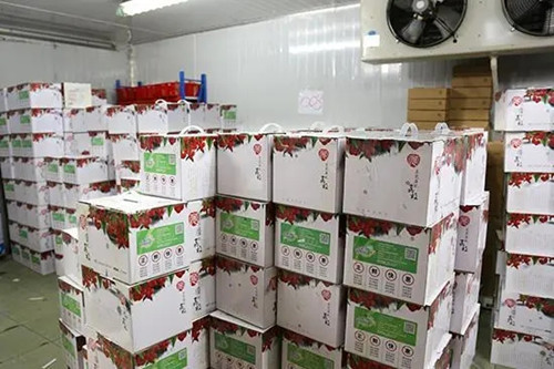 荔枝保鮮庫噴霧加濕機(jī)