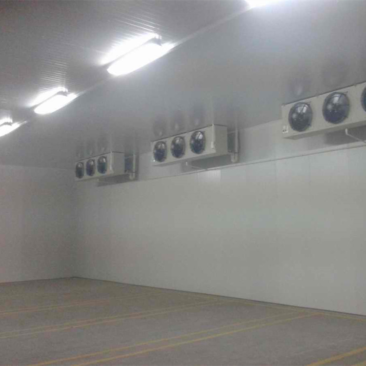 水果冷庫加濕機