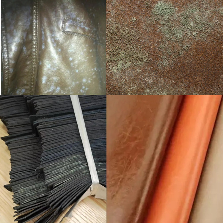 皮具廠倉庫除濕機